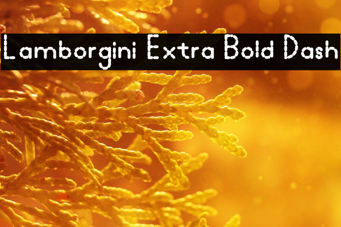 Lamborgini Extra Bold Dash Example 1