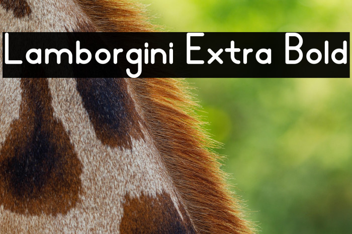 Lamborgini Extra Bold Example 1