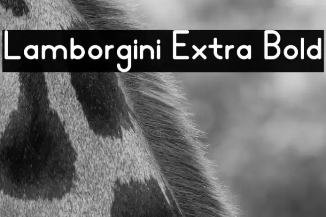 Lamborgini Extra Bold Font examples