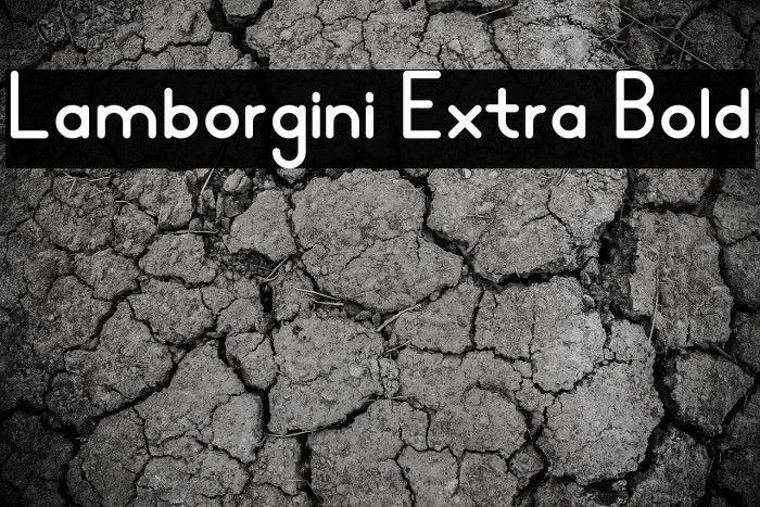 Lamborgini Extra Bold Example 2