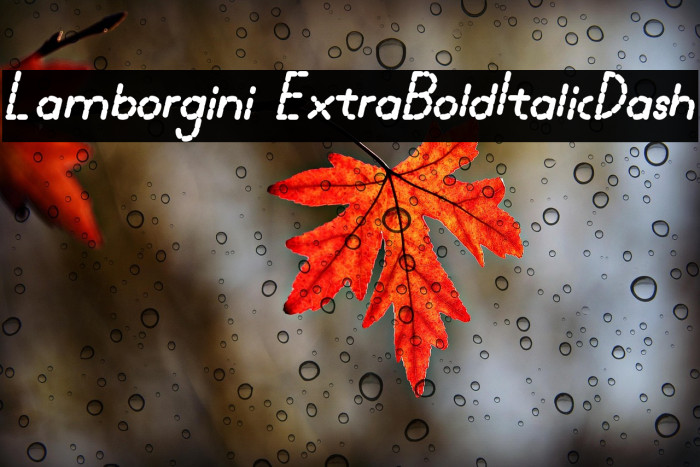 Lamborgini ExtraBoldItalicDash Example 1