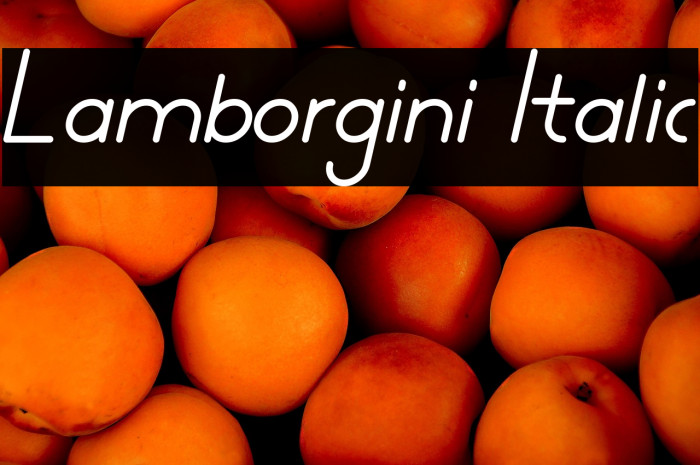 Lamborgini Italic Example 1