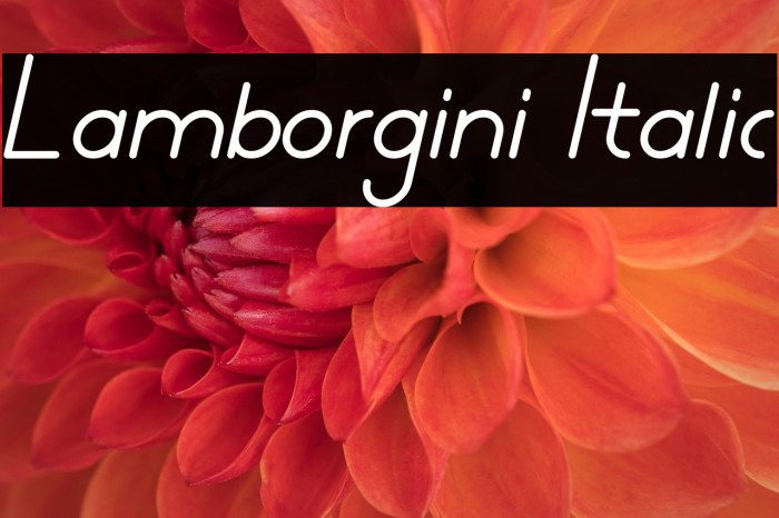 Lamborgini Italic Example 2
