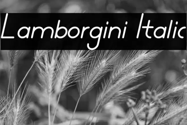 Lamborgini Italic Font examples