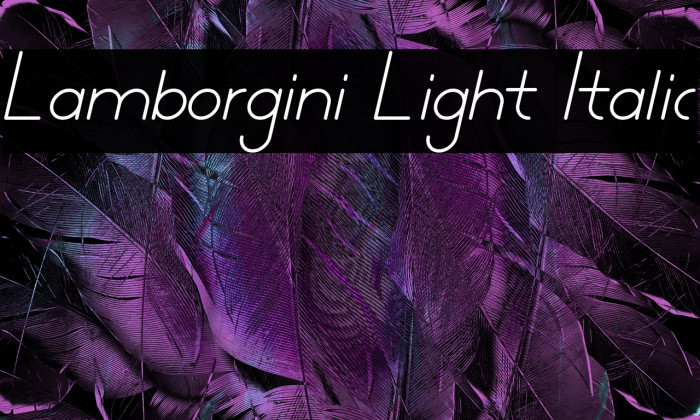 Lamborgini Light Italic Example 1