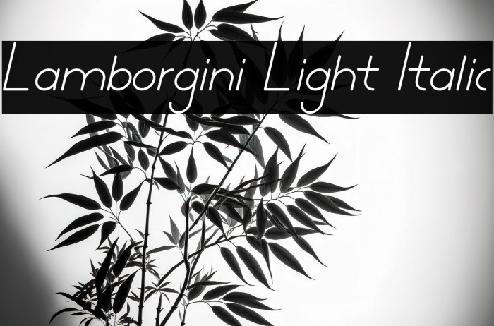 Lamborgini Light Italic Example 3