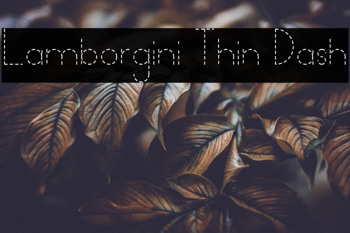 Lamborgini Thin Dash Example 3