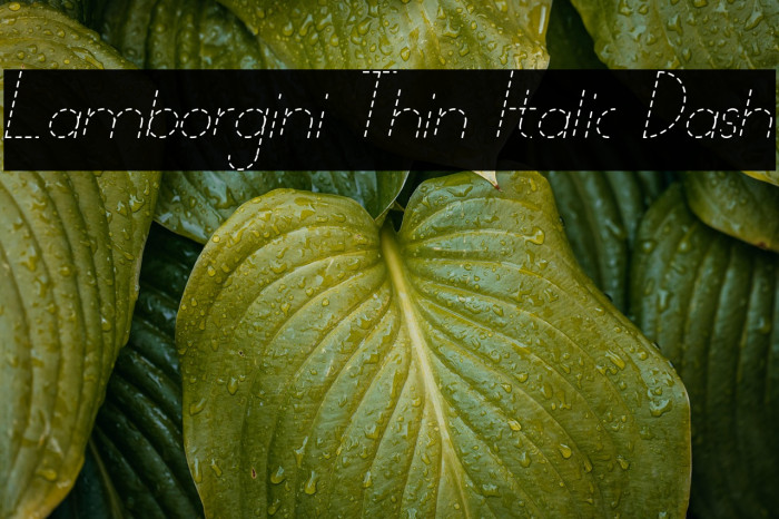 Lamborgini Thin Italic Dash Example 1