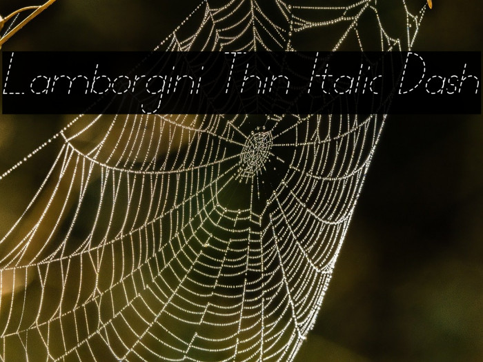Lamborgini Thin Italic Dash Example 3