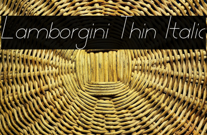 Lamborgini Thin Italic Example 2