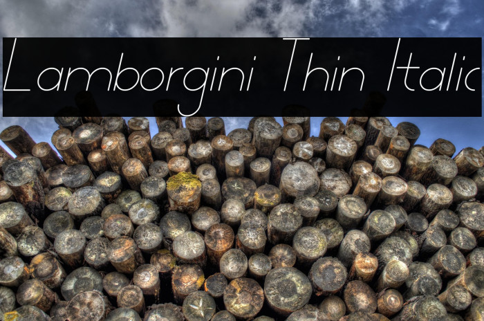 Lamborgini Thin Italic Example 3