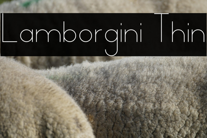 Lamborgini Thin Example 3