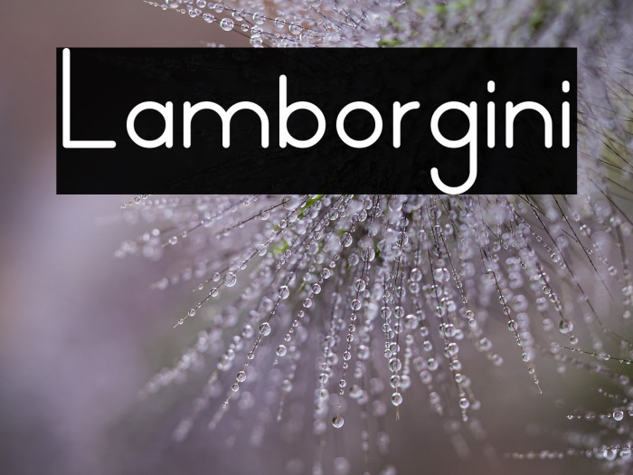 Lamborgini Example 1