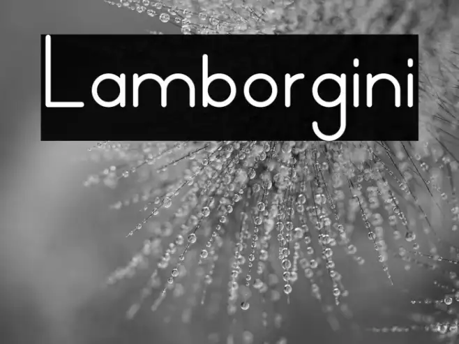 Lamborgini Example 1