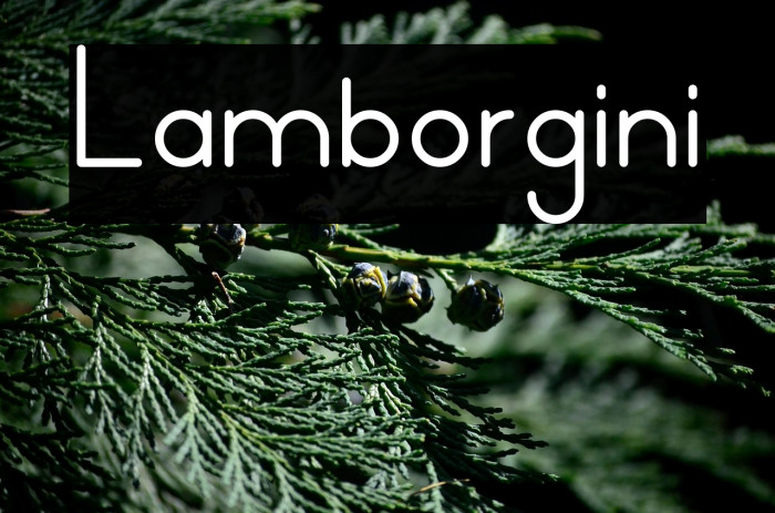 Lamborgini Example 2