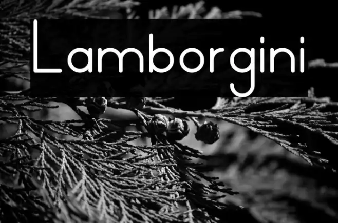 Lamborgini Example 2