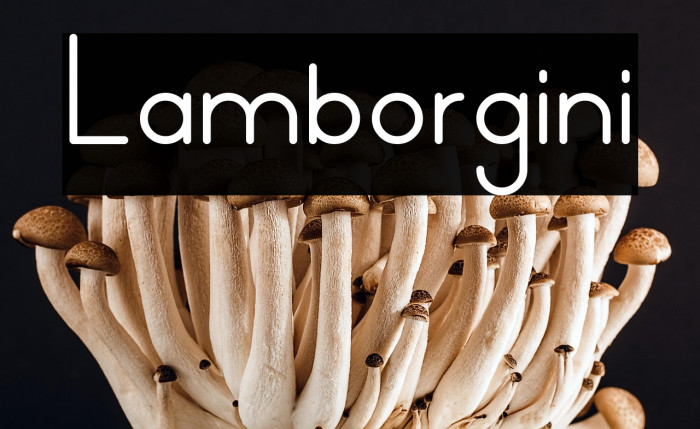 Lamborgini Example 3