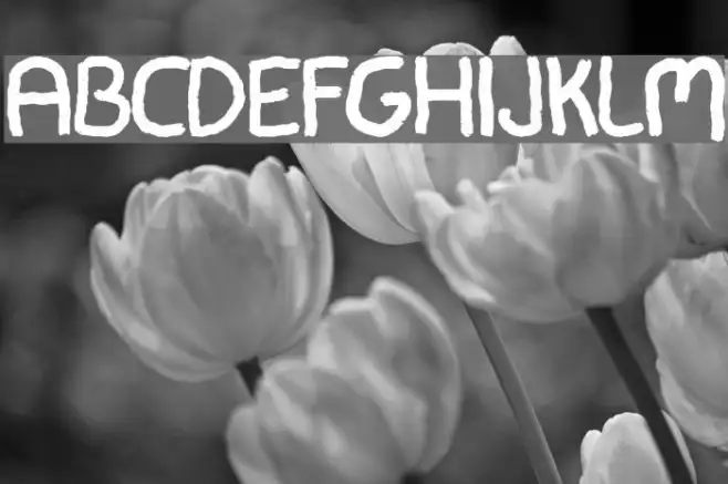 Lambreto Font Example 3