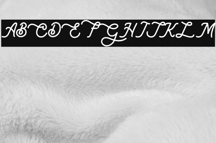 Lambretta Script Font examples