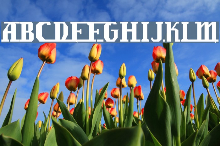 LambrettistA Example 3