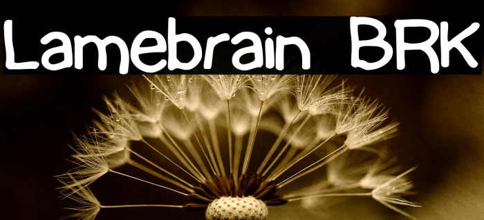 Lamebrain BRK Font examples