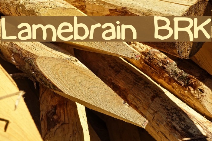 Lamebrain BRK Font examples