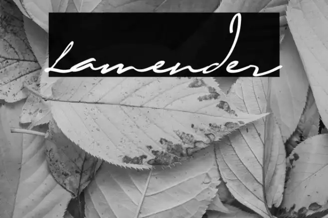 Lamender Example 2