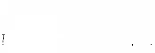 Lamenta フォント その他の文字