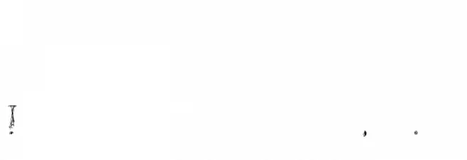 Lamenta Font OTHER CHARS