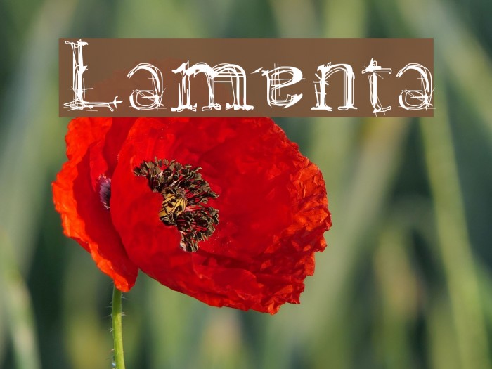 Lamenta Font examples