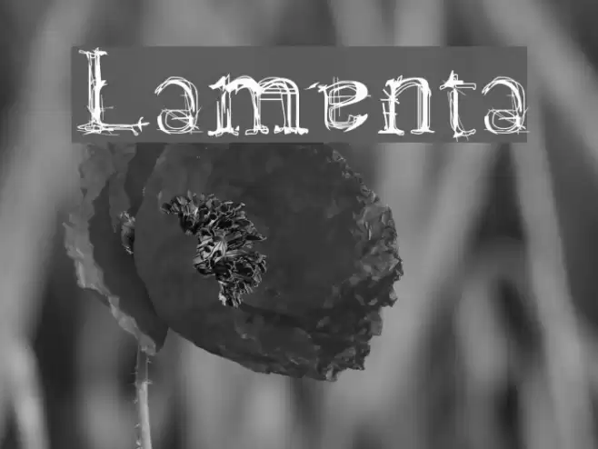 Lamenta フォント examples