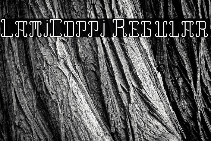 LamiCoppi Regular Example 2