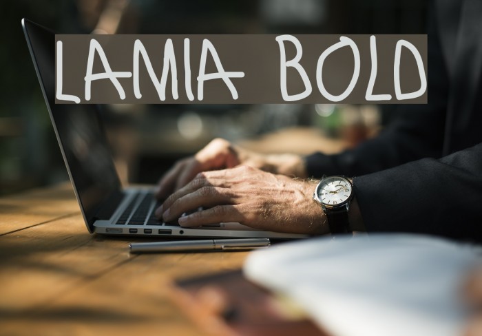 Lamia Bold Example 3