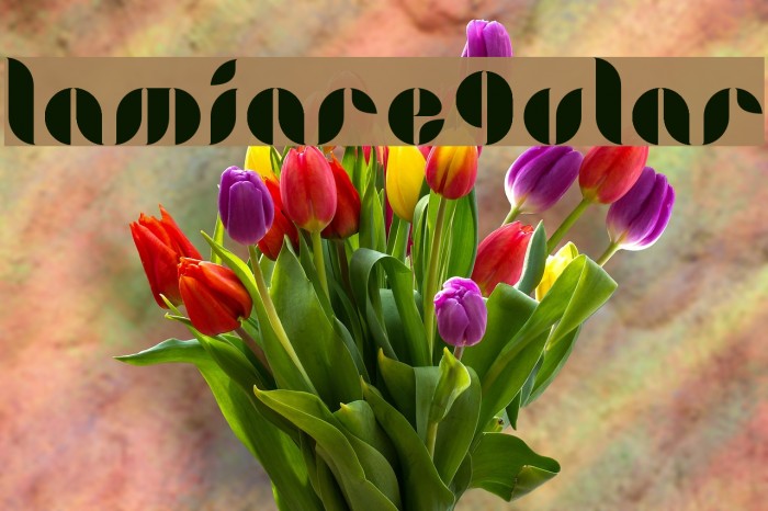 LamiaRegular Font examples
