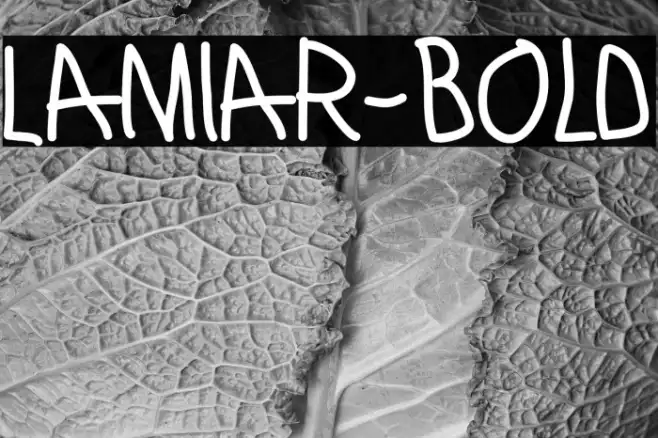 Lamiar-Bold Example 3