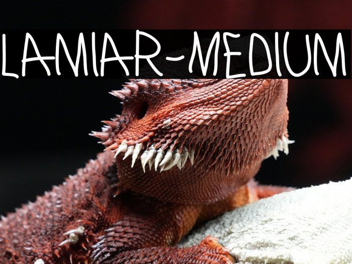 Lamiar-Medium Example 3