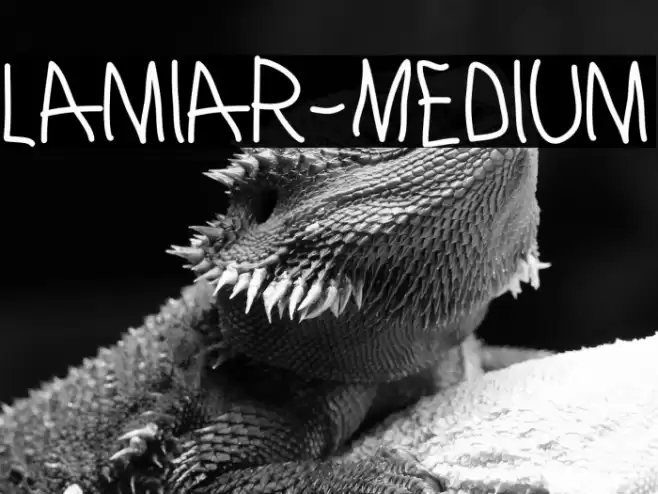 Lamiar-Medium Font examples