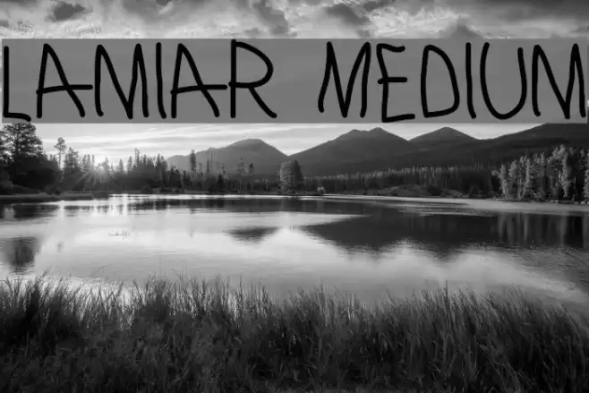 Lamiar Medium Font examples