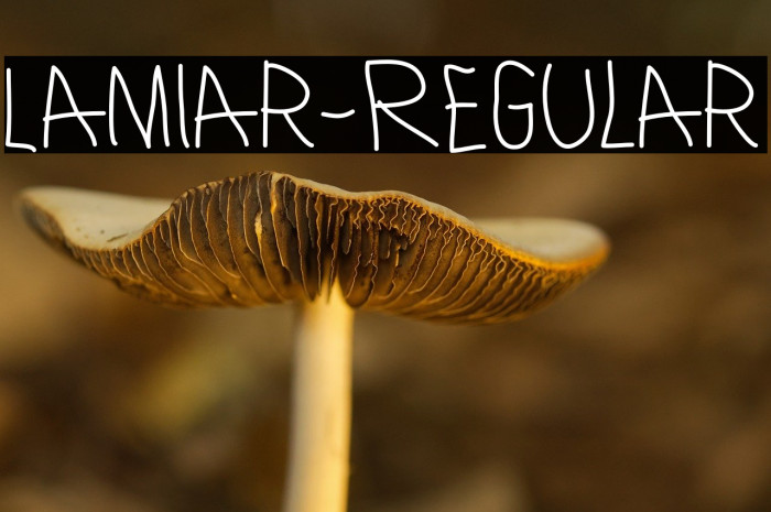 Lamiar-Regular Example 1