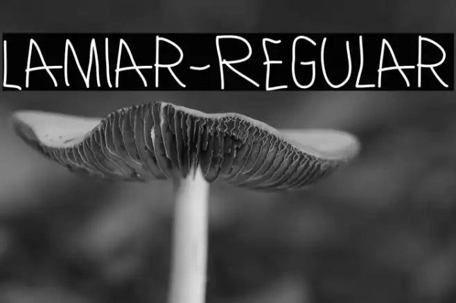 Lamiar-Regular Example 1