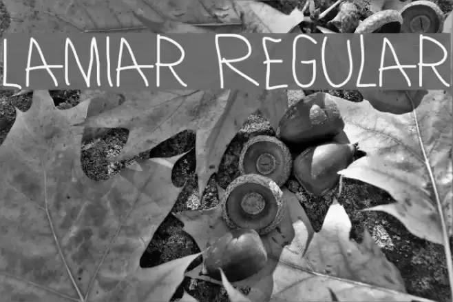 Lamiar Regular Font examples