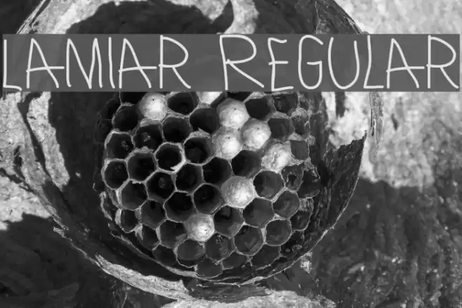 Lamiar Regular Font examples