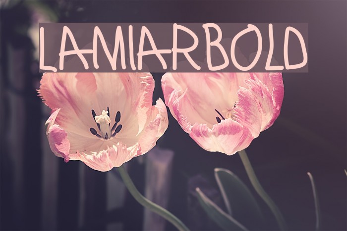 LamiarBold Font examples