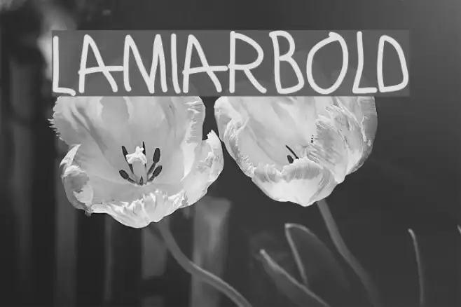 LamiarBold Example 2