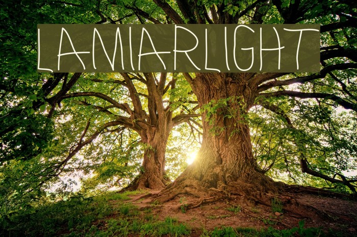 LamiarLight Font examples