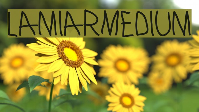 LamiarMedium Шрифта examples