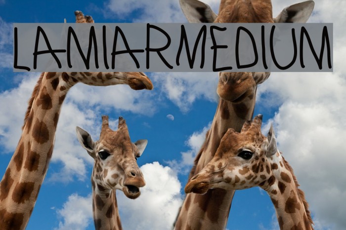 LamiarMedium Шрифта examples