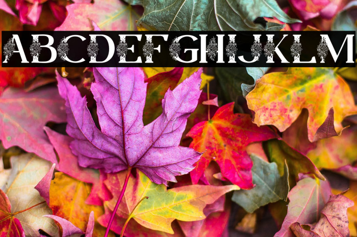 Lamina Personal Use Example 1