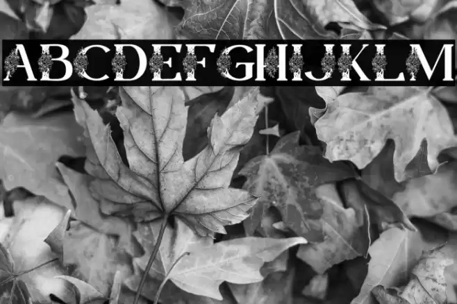 Lamina Personal Use Шрифта examples