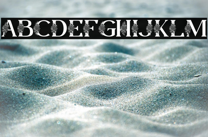 Lamina Personal Use Example 2